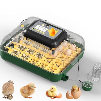 25 Egg Incubator for Hatching Eggs with Automatic Egg Turning, Temperature & Humidity Display, Hatch Day Countdown, Auto Water Refilling System, Egg Candler, Multifunctional Egg Tray for Chicken - size: M- 25 Chicken Eggs