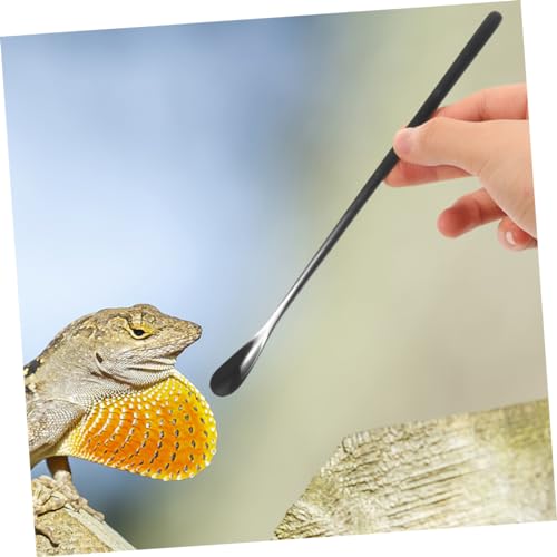 3pcs Small Reptile Feeding Spoon Lizard Food Scoop Multi-Functional Pet Spoon for Animals