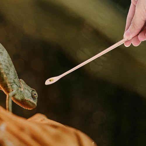 2pcs Stainless Steel Reptile Food Spoon Small Pet Feeding Scoop for Lizards Snakes Other Small Animals Versatile Feeding Tool - color: Golden