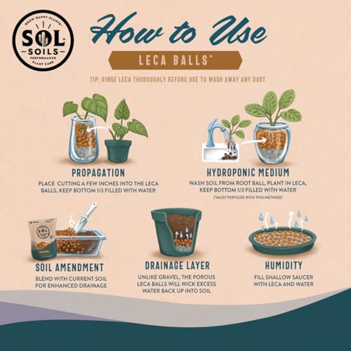 LECA Balls - Lightweight Natural Hydroponic Clay Pebbles for Plants, Improves Drainage, 10 Qt