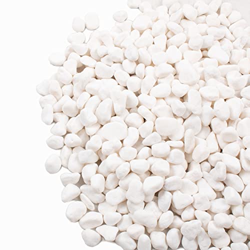 White Pebbles for Plants Garden Vases 1.8lb White Rocks Gravel Decorative Stone 1/2"…… - size: 1.8LB, style: White