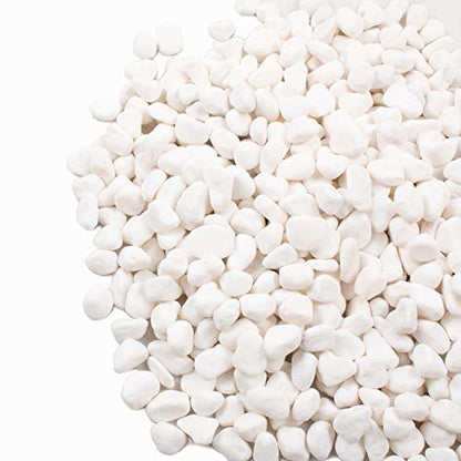 White Pebbles for Plants Garden Vases 1.8lb White Rocks Gravel Decorative Stone 1/2"…… - size: 1.8LB, style: White