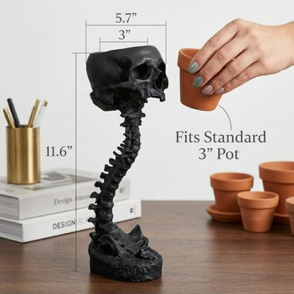 Resin Air Plant Holders,Tilandsia Container,Gothic Skeleton Planter,Halloween Plant Pot,Tillandsia Pot, Skull Table Top Display Planters for Air Plants and Other (11.6 * 5.7'',Black) - size: 11.6 * 5.7'',Black