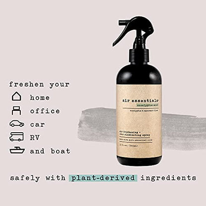 Air Essentials 12 oz Air Freshener & Odor Eliminator Spray - Neutralize Odors from Smoke, Pets, Food & Garbage in Homes, Offices & Cars - Made with Clean Essential Oils (Eucalyptus Mint, 2-Pack)