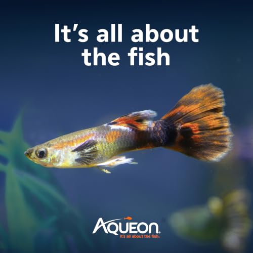 Aqueon QuietFlow Internal Filter with SmartClean Technology, Extra Small - size: Extra Small Filter, style: Extra Small Filter