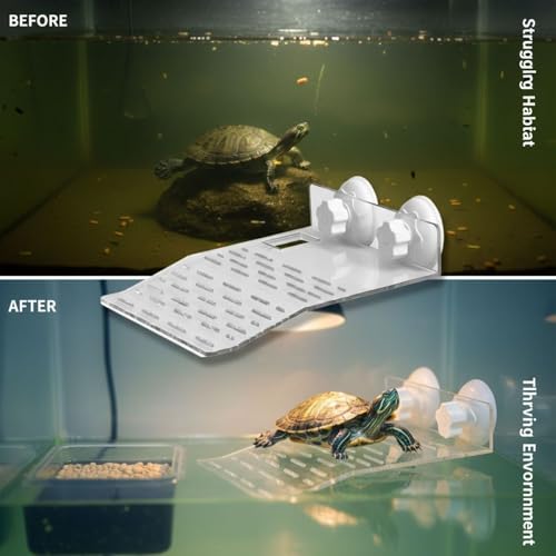 Reptile Basking Platform for Large Turtle Tank, Clear Aquarium Turtle Dock with Suction Cups, Inclined Ramp, Floating Habitat Resting and Feeding Area