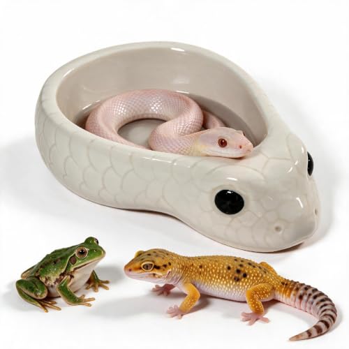 Reptile Water Dish, Ceramic, Reptile Water Bowl, White | Snake Water Bowl, For Snake, Leopard Gecko, Bearded Dragon and Lizard, Bathing Pool Food Feeding Dish - color: White