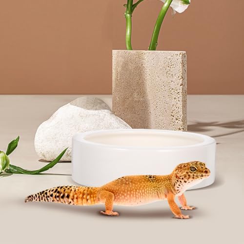 2 Pcs Ceramics Reptile Feeding Bowls for Small Reptile Animals and Lizards, White Round Bowls with Stable Desktop Standing and Safe Material, for Food and Water Storage
