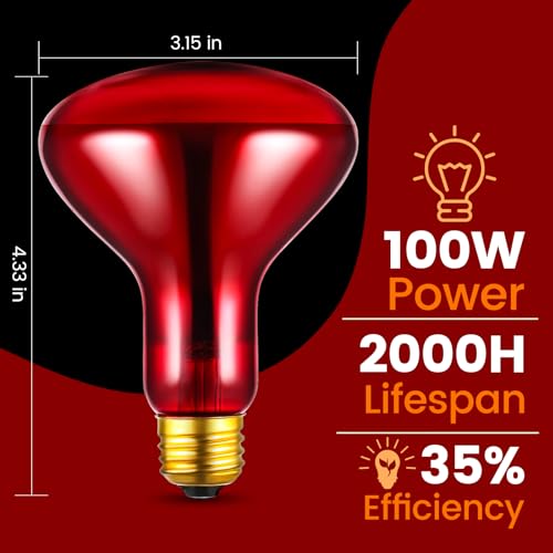 Dual Reptile Lamp Fixture with 100W Daytime Heat & 100W Nighttime Infrared Heat Bulbs, 2 Independent Switches, Reptile Heat Lamp Combo Pack - No UVB - size: ST2