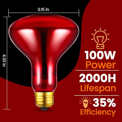 Dual Reptile Lamp Fixture with 100W Daytime Heat & 100W Nighttime Infrared Heat Bulbs, 2 Independent Switches, Reptile Heat Lamp Combo Pack - No UVB - size: ST2