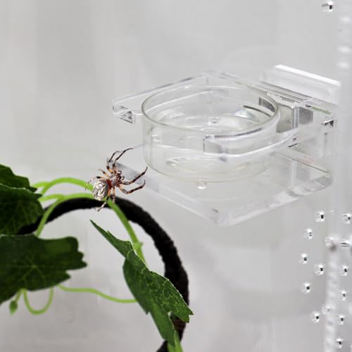 2 Pack Jumping Spider Feeding Dish - Transparent Acrylic Magnetic Tarantula Food Bowl and Water Dish - Enclosure Accessories for Small Spiders - size: 2 Pack