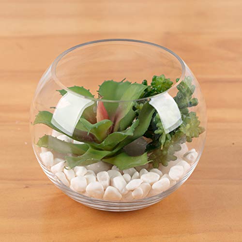 WGV Bowl Glass Vase, Diameter 8", Height 6.5", Open Width 3.75", (Multiple Sizes Choices) Clear Bubble Planter Terrarium Fish Bowl for Wedding Event Home Decor, 1 Piece (VBW0008) - size: 8"D 1 Piece