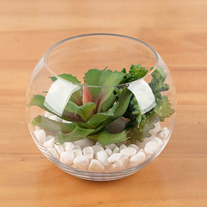 WGV Bowl Glass Vase, Diameter 8", Height 6.5", Open Width 3.75", (Multiple Sizes Choices) Clear Bubble Planter Terrarium Fish Bowl for Wedding Event Home Decor, 1 Piece (VBW0008) - size: 8"D 1 Piece