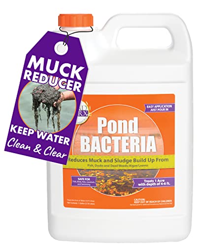 PondWorx Pond Bacteria - Formulated for Large Ponds, Water Features and Safe for Koi - Gallon - size: 1 Gallon (128oz)
