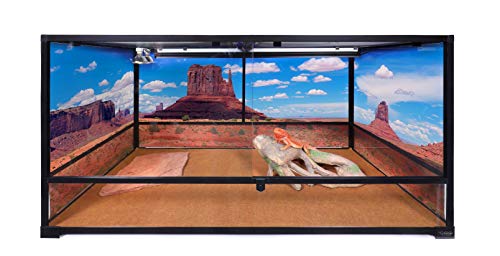Carolina Custom Cages, 48Lx24Wx24H Tall Extra-Long Deep Terrarium; Easy Assembly - size: 48Lx24Wx24H