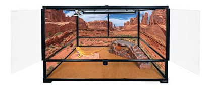 Carolina Custom Cages, 36Lx24Wx24H Tall Large Deep Terrarium; Easy Assembly - size: 36Lx24Wx24H