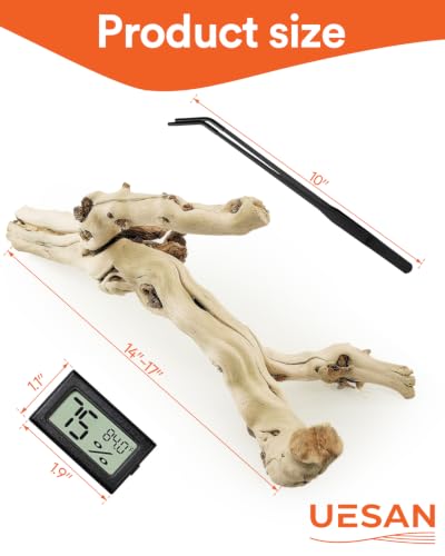 3Pcs Bearded Dragon Wood Branch, Large 14-17 Inch Reptile Wood Logs for ClimbingTerrarium Habitat Decor for Geckos, Chameleons, Frogs & Spiders - size: 1Pcs