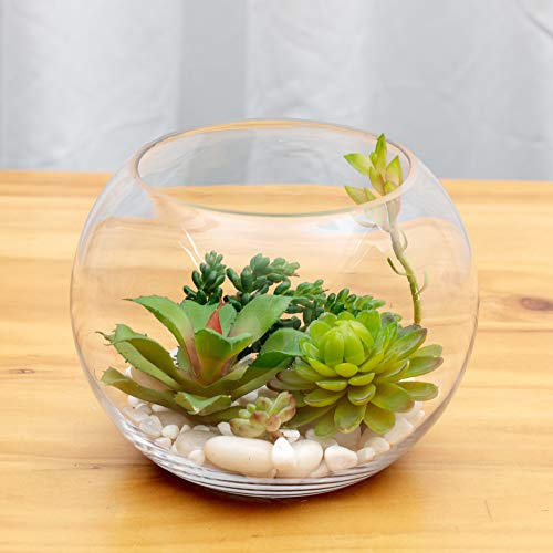 WGV Bowl Glass Vase Bulk, Diameter 10", Height 8", Open Width 6", (Multiple Sizes Choices) Clear Bubble Planter Terrarium Fish Bowl for Wedding Event Home Decor, 4 Pieces (VBW0010) - size: 10"D 1 Case
