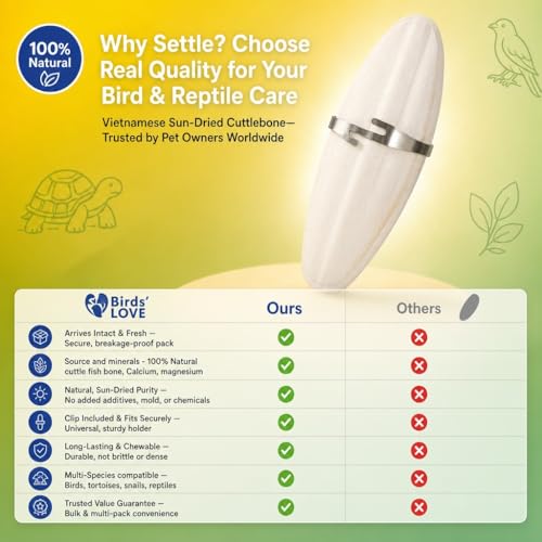 Birds LOVE 7.5-8" Cuttlebone for Birds – 100% Natural Sun-Dried Calcium Carbonate Mineral Supplement – for Parakeets, Budgies, Cockatiels, Finches & Canaries – 2 Pack with Holder – Made in Vietnam - size: 2 Count (Pack of 1)