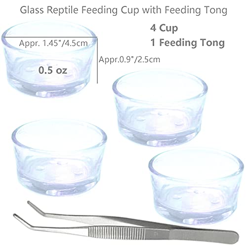 Small Reptile Feeding Dish Food Water Bowl Feeder Cup Basin, 4 Pack, 0.5 Oz