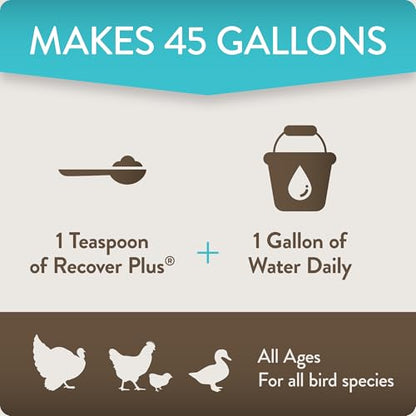 Recover Plus Moderate Stress Probiotic Water Supplement for Chickens with Electrolytes & Oregano, 8 oz - size: 8 Ounce (Pack of 1), style: Recover Plus