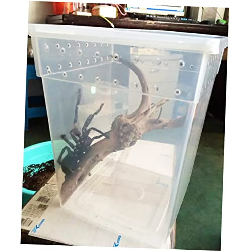 Breeding Box for Reptiles Lightweight Spider Lizard Habitat Ventilated Feeding Container Buckles for Safe Transport and Quarantine