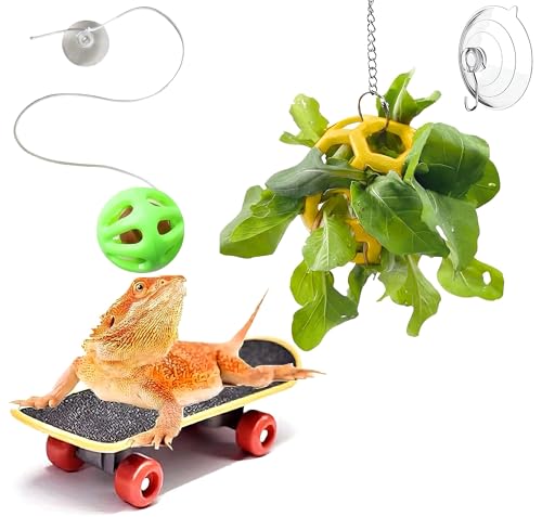 Reptile Tank Accessories Set with Interactive Feeder Ball, Skateboard Toy, Exercise Bells for Bearded Dragon, Lizard, Gecko Enrichment and Activity