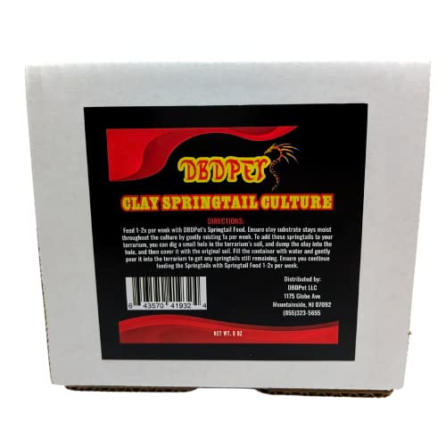 Live Springtail Cultures - Great for Terrariums, Vivariums, and More - Microfauna for Bioactive Reptile & Amphibian Cages (Clay Culture (New Option)) - size: 1 Count (Pack of 1)