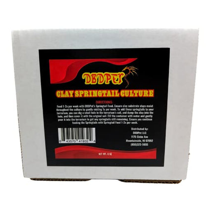 Live Springtail Cultures - Great for Terrariums, Vivariums, and More - Microfauna for Bioactive Reptile & Amphibian Cages (Clay Culture (New Option)) - size: 1 Count (Pack of 1)