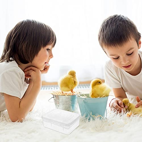 2Pcs Reptile Egg Incubator Tray with Lattice Design Lightweight and Portable Hatching Box for Lizards Snakes Tortoises Transparent Cover for Easy Observation