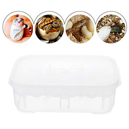balacoo Reptile Terrarium Terrarium 12 Grids Breeding Box Hatching Container 2-Layer Transparent Hatchery Box Reptile Terrariums Terrariums