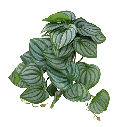Artificial Reptile Plants with Suction Cups, Watermelon Leaves & Vines for Terrarium, Plastic Climbing Plants for Reptile Tank Decor, Habitat Accessories for Lizards/Chameleons