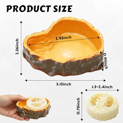 Dubia Roach Water Dish with 3 Luffa Inserts, Reptile Water Dish, Feeding Dish for Reptiles, Dubia Roaches Live, Isopods, Springtails, Crickets & Other Feeder Insects
