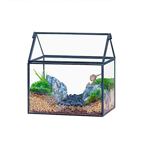 NCYP Small Glass Terrarium with Lid for Plant Succulent - 6.1 X 4.33 X 6.3 Inches - House Shape Flower Pot, Garden Tabletop Decor Planter, Geometric Centerpiece, Black (No Plants)