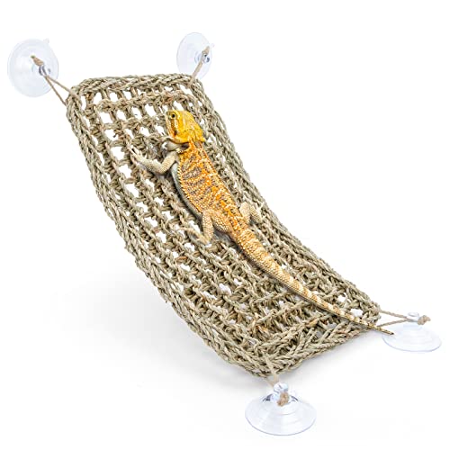 Niteangel Bearded Dragon Seagrass Hammock: Rectangle 16"x 8" & Suction Cups | Add More Climbing Space & Entertainment - Reptile Lounger for Chameleon Lizards Gecko Snakes Lguana Reptiles Tortoises - size: Rectangle 16'' x 8''