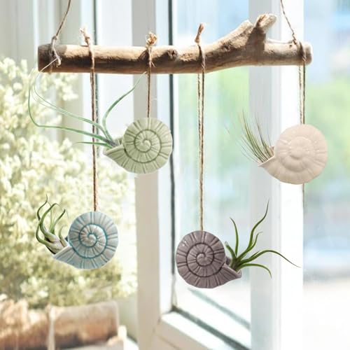 Air Plant Holder Unique, Cute Octopus Air Plant Hanger Wall Planter, Ceramic Tillandsia Airplants Holders Hanging Wall Decor for Home Office (Whelk-Small (2.8 x 2 in),4 pcs/Set) - size: Whelk-Small (2.8 x 2 in)