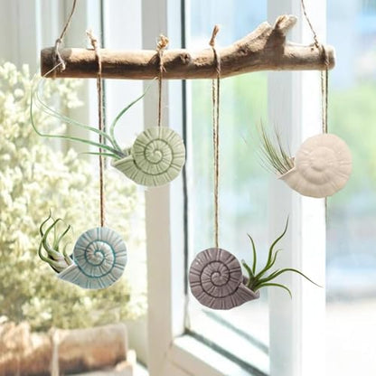 Air Plant Holder Unique, Cute Octopus Air Plant Hanger Wall Planter, Ceramic Tillandsia Airplants Holders Hanging Wall Decor for Home Office (Whelk-Small (2.8 x 2 in),4 pcs/Set) - size: Whelk-Small (2.8 x 2 in)