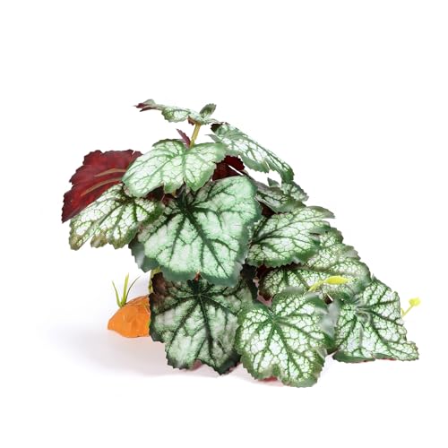 Reptile Plants Terrarium Hideaway Amphibian Habitat Fake Saxifrage | Imitation Reptile Plant Decoration with Base Tank Accessories for Terrarium Ball Python Bearded Dragon Gecko Lizard Tortoise - color: Fake Saxifrage