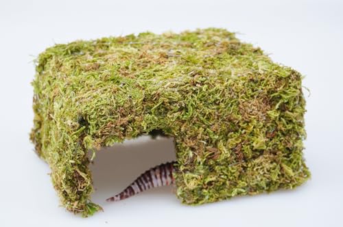 Leopard Gecko Tank Accessories, Reptile Moss Hide Cave, Adjustable Humid Tank Terrarium Decor Accessories for Corn Snakes and Small Lizards