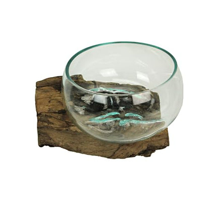 Decorative Vase, 10 Inch Wide-Mouth Molten Glass on Teak Driftwood | Artisan-Crafted, Natural Finish, Serves as Sculptural Bowl, Planter, Terrarium, Or Centerpiece