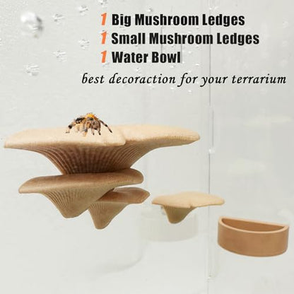 2 Pack Jumping Spider Accessories Mushroom Ledges & 1 Pack Water Bowl with Magnets for Spoods Jumping Spiders Magnetic Ledge Ladder Pet Spider Accessories (Not Included The Terrarium) (beige) - color: beige
