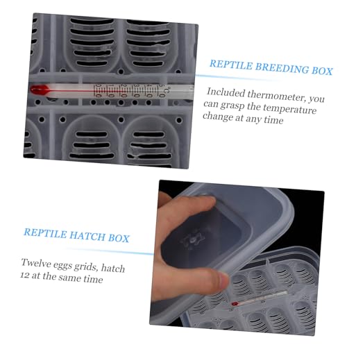 Reptile Hatching Box with Compartments Transparent Design for Easy Visibility Lightweight Incubation Tray for Lizards Snakes and Eggs Includes Temperature Gauge