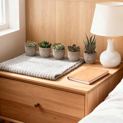 Artificial Succulent Plants Set, Low Maintenance Home Office Decor | Realistic faux succulent set, no water or sun. For desk, shelf, office, living room. Great gift for plant lovers.