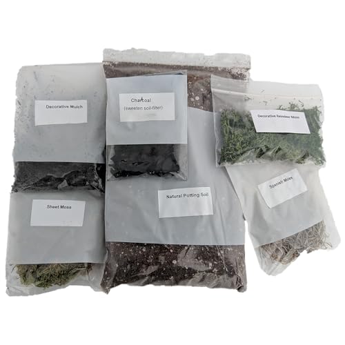 Hirt's Gardens Terrarium Kit - Create Your Own Living Terrarium