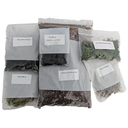 Hirt's Gardens Terrarium Kit - Create Your Own Living Terrarium