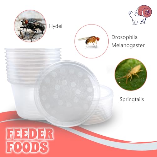 16 oz Deli Cup and Fabric Vented Insect Feeder lids by Snout & Shell - Pack of 10 Cups and lids - size: 16oz/10 cups