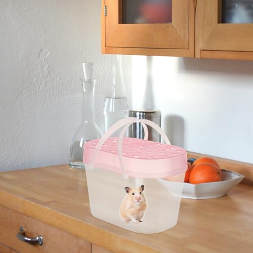 POPETPOP 2PCS Portable Plastic Hamster Carrier Boxes Lid Handheld Reptile Containers for Small Pets Turtles and Travel