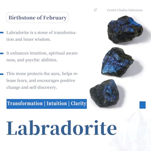 SUNYIK 1LB Natural Raw Labradorite Stones Rock for Tumbling Cabbing | Irregular Healing Crystal Rock Stones for Aquarium, Terrarium Fish Tank, Fountain Rocks, Jewelry Making, Rock Collections - color: Labradorite(0.8"-1.5")