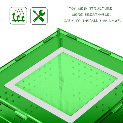 8x8x12 Deep Green Acrylic Terrarium Vertical for Spider Reptile | Vertical deep green acrylic terrarium 8x8x12, waterproof sealed body, secure anti-escape, suits Reptile spider small lizard - color: DeepGreen