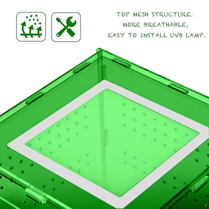 8x8x12 Deep Green Acrylic Terrarium Vertical for Spider Reptile | Vertical deep green acrylic terrarium 8x8x12, waterproof sealed body, secure anti-escape, suits Reptile spider small lizard - color: DeepGreen